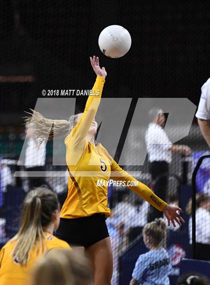 Thumbnail 1 in Windsor vs. Cherry Creek (CHSAA 5A Playoff) photogallery.