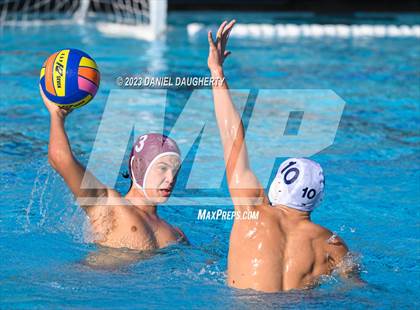 Thumbnail 2 in North @ Torrance photogallery.