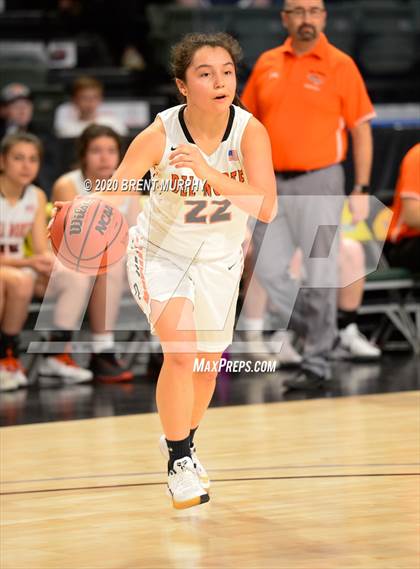 Thumbnail 1 in Del Norte vs. Wray (CHSAA 2A Great 8) photogallery.