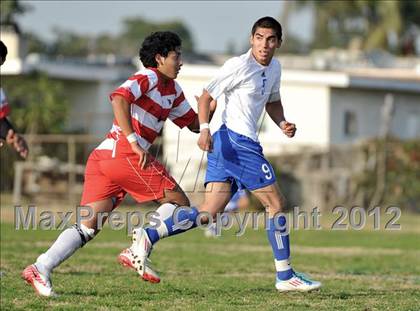 Thumbnail 2 in Whittier @ El Rancho photogallery.