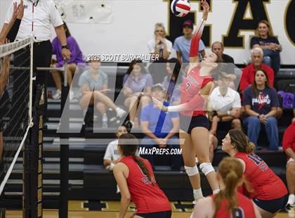 Thumbnail 3 in Andrews vs Lubbock Liberty (Bev Ball Classic) photogallery.