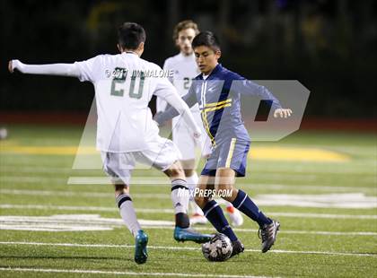 Thumbnail 3 in Berean Christian @ Moreau Catholic photogallery.