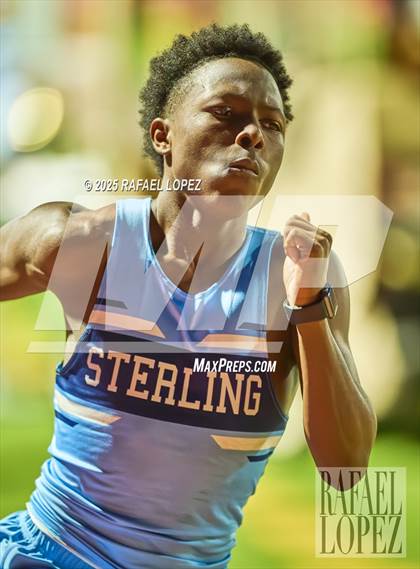 Thumbnail 1 in Panther Relays (4x400M) photogallery.