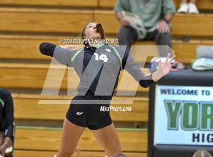 Thumbnail 3 in Yorktown vs Zionsville  photogallery.