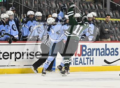Thumbnail 1 in Christian Brothers Academy vs. Delbarton (NJSIAA Non-Public State Final)  photogallery.