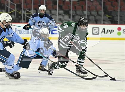 Thumbnail 1 in Christian Brothers Academy vs. Delbarton (NJSIAA Non-Public State Final)  photogallery.