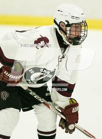 Thumbnail 3 in Orchard Park vs. Niagara Falls (Section 6 Division I Quarterfinal) photogallery.