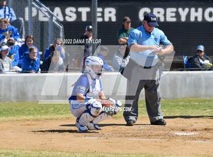 Thumbnail 1 in Brock @ Peaster photogallery.
