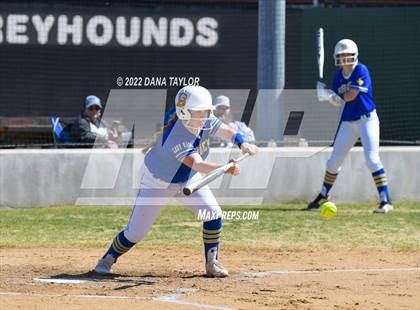 Thumbnail 1 in Brock @ Peaster photogallery.
