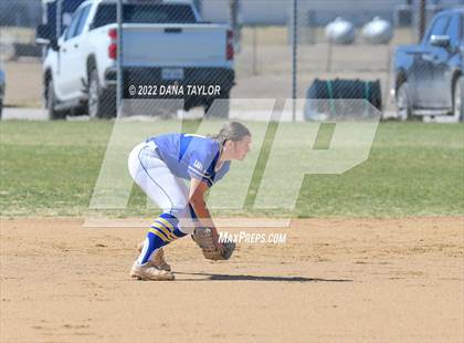 Thumbnail 1 in Brock @ Peaster photogallery.