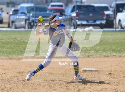 Thumbnail 2 in Brock @ Peaster photogallery.