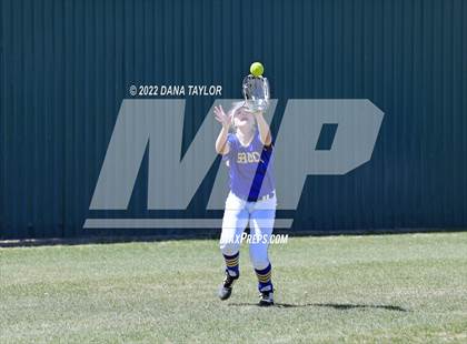 Thumbnail 3 in Brock @ Peaster photogallery.