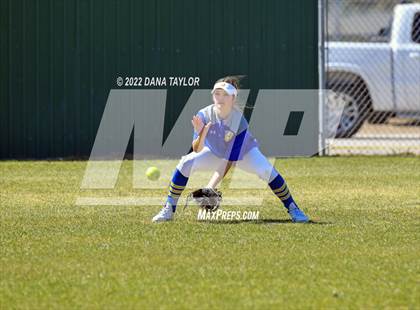 Thumbnail 2 in Brock @ Peaster photogallery.