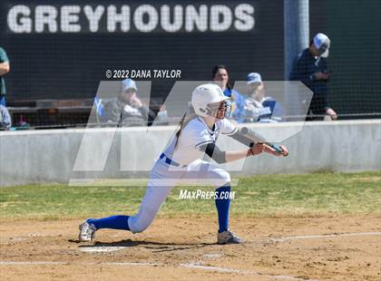 Thumbnail 3 in Brock @ Peaster photogallery.