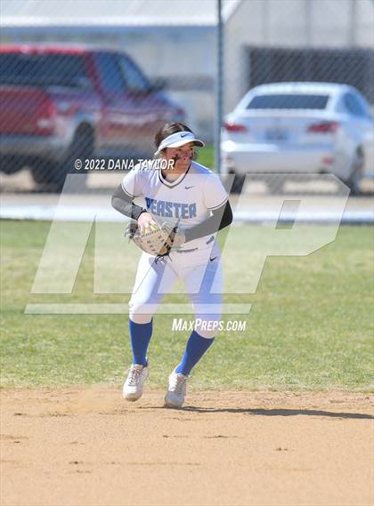 Thumbnail 3 in Brock @ Peaster photogallery.