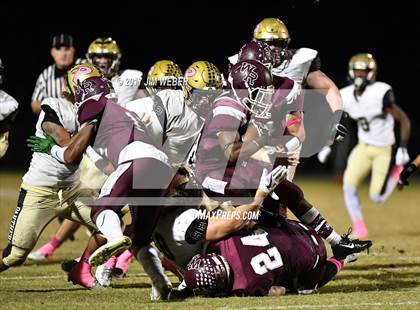Thumbnail 1 in Plant @ Wiregrass Ranch photogallery.