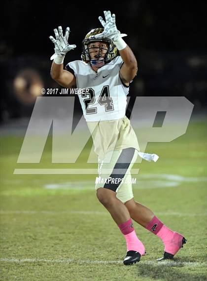 Thumbnail 3 in Plant @ Wiregrass Ranch photogallery.