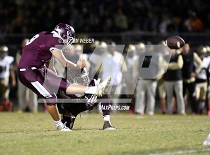 Thumbnail 3 in Plant @ Wiregrass Ranch photogallery.