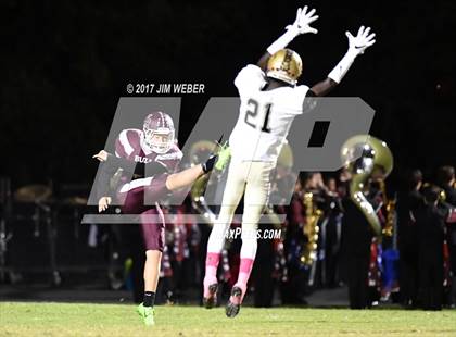 Thumbnail 2 in Plant @ Wiregrass Ranch photogallery.