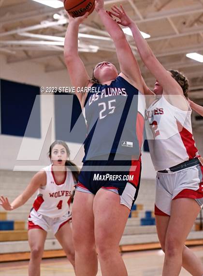 Thumbnail 2 in Las Plumas @ Trinity (Anderson Tip-Off Classic) photogallery.