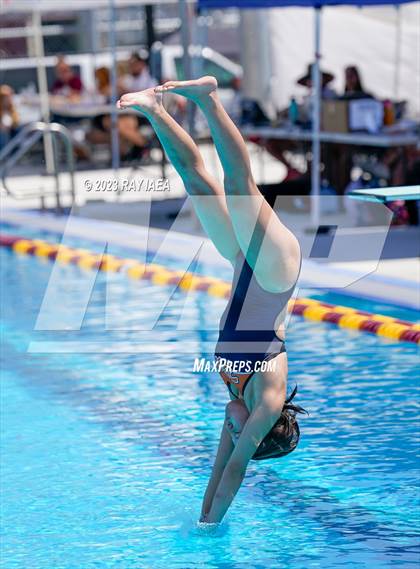 Thumbnail 1 in BVL Swim and Dive Championship @ Liberty High photogallery.
