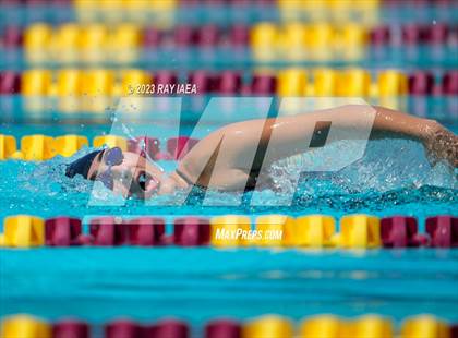 Thumbnail 2 in BVL Swim and Dive Championship @ Liberty High photogallery.
