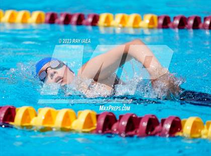 Thumbnail 1 in BVL Swim and Dive Championship @ Liberty High photogallery.
