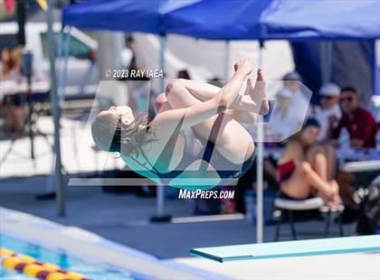 Thumbnail 2 in BVL Swim and Dive Championship @ Liberty High photogallery.