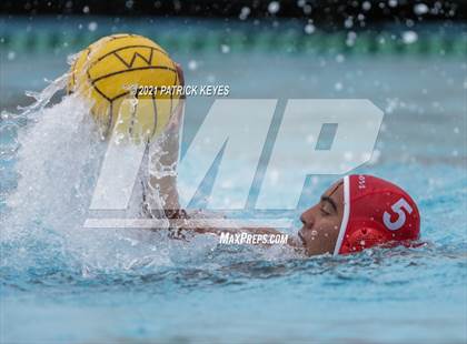 Thumbnail 3 in Tustin @ Woodbridge photogallery.