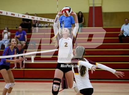 Thumbnail 3 in Tamalpais @ Cardinal Newman photogallery.