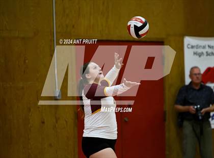 Thumbnail 2 in Tamalpais @ Cardinal Newman photogallery.