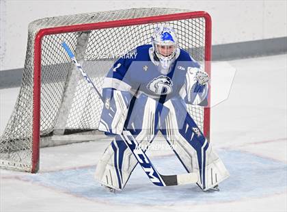 Thumbnail 2 in Darien @ Warde/Ludlowe photogallery.