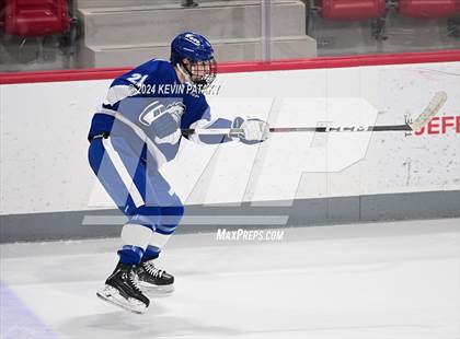 Thumbnail 2 in Darien @ Warde/Ludlowe photogallery.