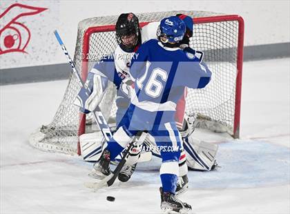 Thumbnail 3 in Darien @ Warde/Ludlowe photogallery.