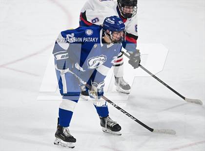 Thumbnail 3 in Darien @ Warde/Ludlowe photogallery.
