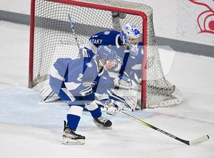 Thumbnail 3 in Darien @ Warde/Ludlowe photogallery.