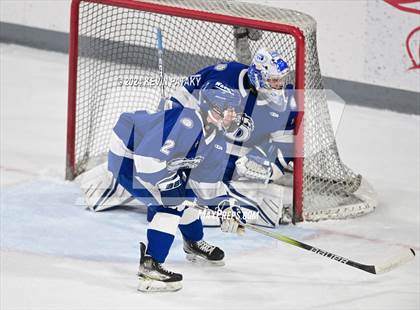 Thumbnail 2 in Darien @ Warde/Ludlowe photogallery.