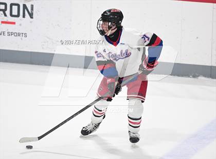 Thumbnail 3 in Darien @ Warde/Ludlowe photogallery.