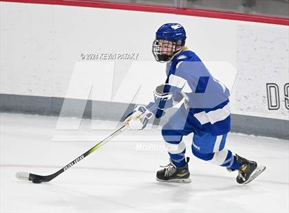Thumbnail 3 in Darien @ Warde/Ludlowe photogallery.