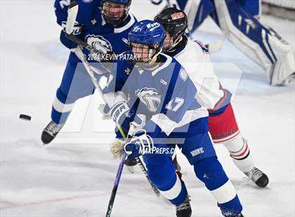 Thumbnail 1 in Darien @ Warde/Ludlowe photogallery.