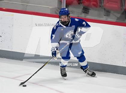 Thumbnail 1 in Darien @ Warde/Ludlowe photogallery.