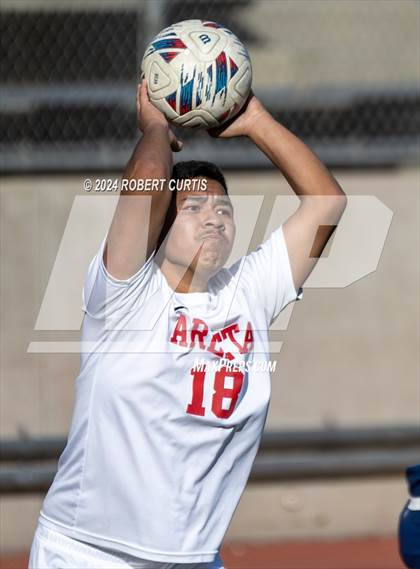 Thumbnail 3 in Arleta vs. Quartz Hill photogallery.