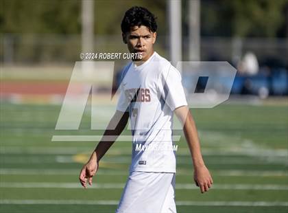 Thumbnail 2 in Arleta vs. Quartz Hill photogallery.