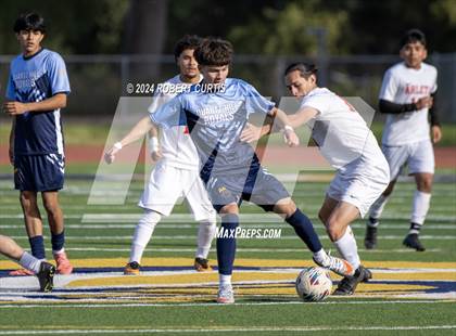 Thumbnail 2 in Arleta vs. Quartz Hill photogallery.