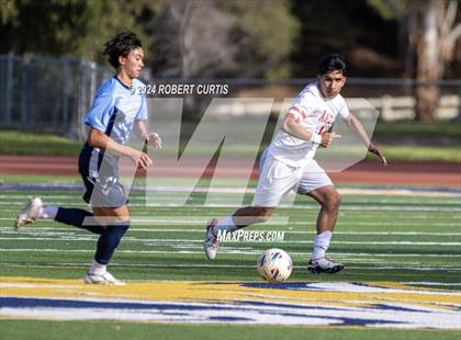 Thumbnail 1 in Arleta vs. Quartz Hill photogallery.