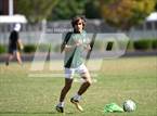 Photo from the gallery "Green Hope @ Panther Creek"