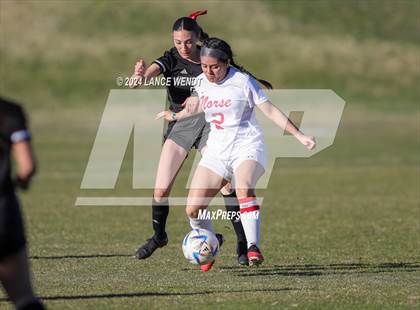 Thumbnail 3 in Northglenn @ Pomona photogallery.
