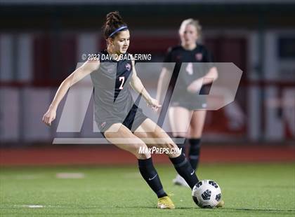 Thumbnail 1 in Birdville @ Argyle photogallery.
