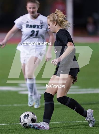 Thumbnail 1 in Birdville @ Argyle photogallery.
