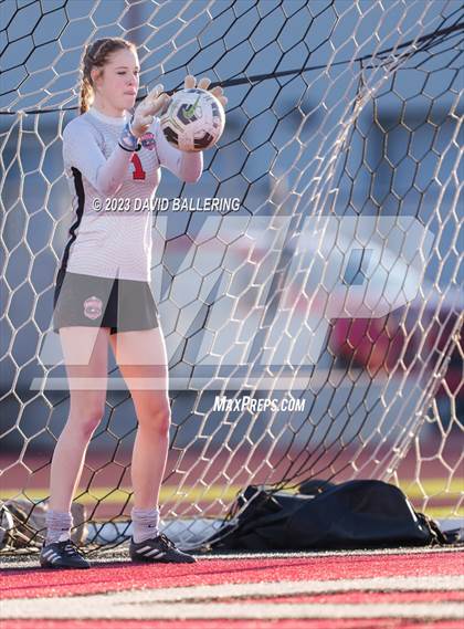 Thumbnail 3 in Birdville @ Argyle photogallery.